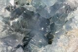 Blue Celestine (Celestite) Crystal Geode - Large Crystals #70829-2